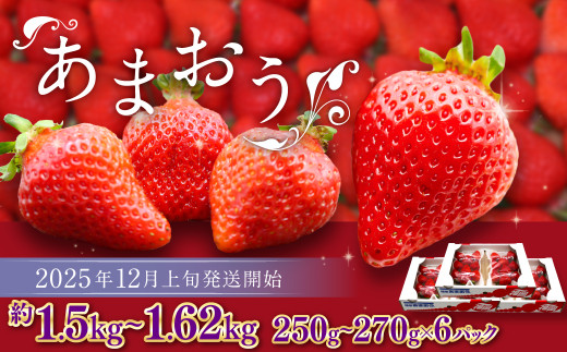 博多あまおう（冬） 約250g～270g×6パック 計約1.5kg～1.62kg【2025年12月上旬-2026年1月下旬発送予定】 いちご 苺 イチゴ 果物 フルーツ