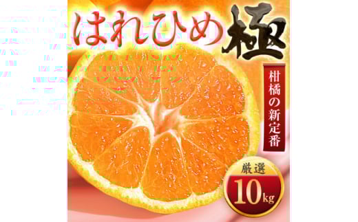 ＜太陽をたっぷり浴びた＞はれひめ＜極＞10kg＜F49-83＞【1621795】