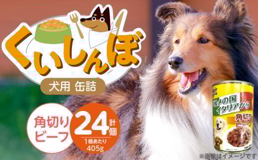 くいしんぼ 犬用 缶詰（角切りビーフ）405g×24個_くいしんぼ 犬用 缶詰 405g×24個 角切り ビーフ 成犬用 犬 サポートフード 噛みごたえ 栄養バランス 消化吸収 優れた ペットフード ドッグフード 福岡県 久留米市 送料無料_Pf049-02