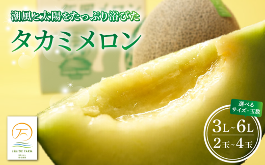 [2025年 先行予約 ] タカミメロン 青肉 選べる 2玉 〜 4玉 ( 3L 〜 6L サイズ ) 6月 7月 発送 産地直送 メロン 高級 ブランド 糖度 貴味 タカミ 飯岡メロン ブランドメロン 贈り物 贈答 ギフト プレゼント 果物 フルーツ おすすめ 人気 デザート 千葉県 旭市 飯岡 石毛農園 igf