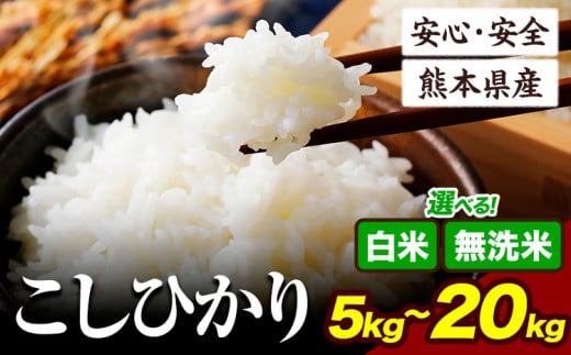 令和6年産 無洗米 も選べる こしひかり 5kg 10kg 15kg 20kg 定期便 も選べる[7-14日以内に出荷予定(土日祝除く)]令和6年産 熊本県産 ふるさと納税 無洗米 白米 精米 ひの 米 こめ ふるさとのうぜい コシヒカリ コメ お米 おこめ