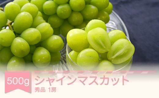 【先行予約】シャインマスカット 秀品 500g 令和7年産 2025年産 果物 mm-busmx1 2106890 - 山形県村山市