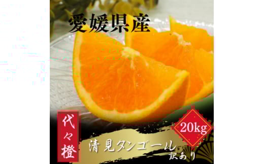 ＜トロッととろける果実＞＜訳あり＞清見タンゴール 20kg＜H83-27＞【1557491】 1512037 - 愛媛県八幡浜市
