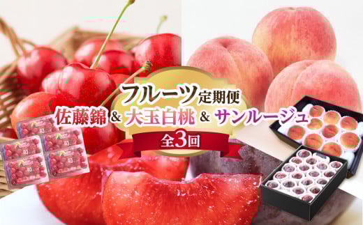 《先行受付》  さくらんぼ&白桃&すもも フルーツ定期便 【全3回】 【001-T50】