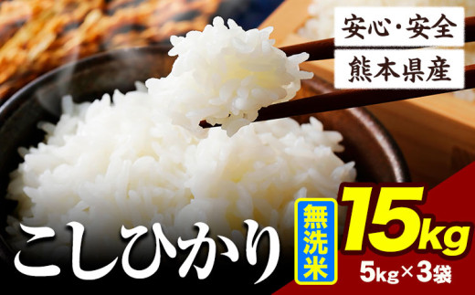 令和6年産 こしひかり 15kg 《7-14日以内に出荷予定(土日祝除く)》令和6年産 熊本県産 ふるさと納税 無洗米 ひの 米 こめ ふるさとのうぜい コシヒカリ コメ お米 おこめ 2144848 - 熊本県産山村