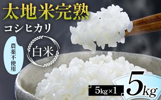 2024年産 農薬不使用 太地米完熟 【こしひかり】 白米 5kg ブランド米 お米 精米 白米 人気 F7X-0329 2114624 - 福島県須賀川市