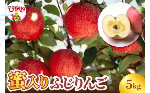 蜜入りふじりんご5kg　広果園提供　hi098-002