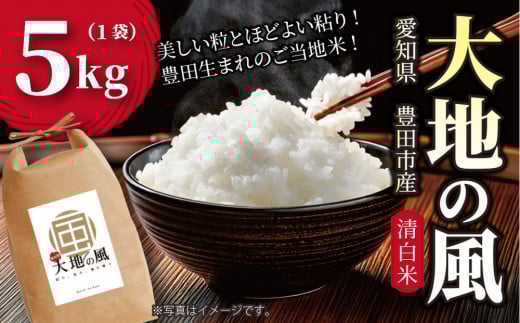 【先行予約】【令和7年産新米】豊田市産「大地の風」精米5kg（1袋）