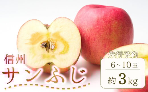 【2025年先行予約】りんご サンふじ 約3kg (6~10玉) 果物 フルーツ 長野県産 千曲市 信州 2037641 - 長野県千曲市