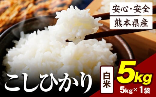 令和6年産 こしひかり 5kg 《7-14日以内に出荷予定(土日祝除く)》令和6年産 熊本県産 ふるさと納税 白米 精米 ひの 米 こめ ふるさとのうぜい コシヒカリ コメ お米 おこめ 2144842 - 熊本県産山村