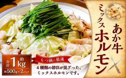 熊本和牛あか牛ホルモン約1kg（約500g×2） あか牛 ホルモン 4種類 肉 お肉 牛肉 褐牛 褐毛和種 和牛 国産牛 小腸 大腸 アカセンマイ センマイ 熊本県 上天草市 冷凍 2050323 - 熊本県上天草市