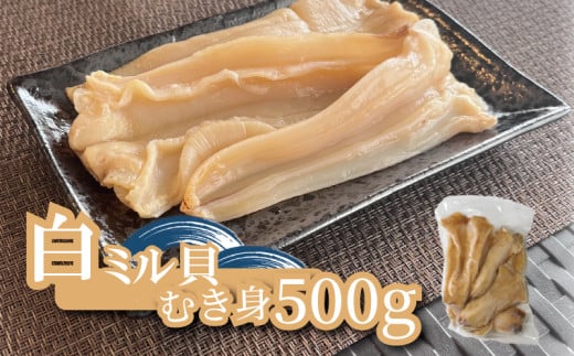 下処理済み 白ミル貝 むき身 500g 冷凍 魚介類 魚貝類 海鮮 数量限定 魚貝 貝 ミル貝 ご褒美 酒蒸し 炙り焼き 天ぷら バター炒め むき身 刺身 二枚貝 高級 甘み おいしいミル貝 新鮮 南知多産ミル貝 南知多産白ミル貝 おつまみ ミルガイ 貝類 ふるさと納税貝 白みる貝 海の幸 新鮮 ご飯 おかず 肴 晩酌 おいしい貝 お刺身 寿司 刺し身 鮮度 愛知県 南知多町 人気 おすすめ
