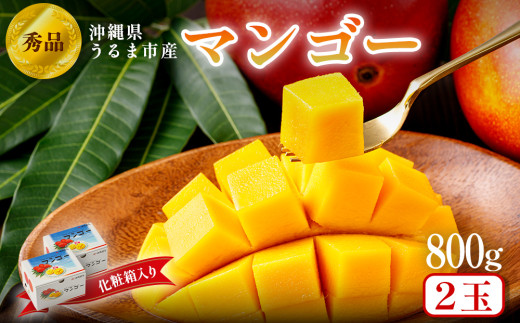 沖縄県 うるま市産 完熟 マンゴー 秀品 800g[2025年発送]