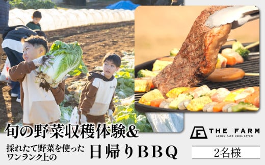 THE FARMで収穫体験&採れたて新鮮野菜をBBQで食べる贅沢な食体験(2名様)　KTRC011 2239607 - 千葉県香取市
