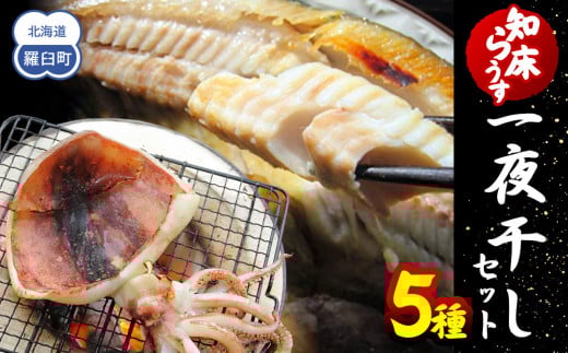知床らうす 一夜干しセット 魚 北海道 海産物 魚介 魚介類 ほっけ ホッケ キンキ きんき めんめ いか 宗八カレイ 八角 干物 魚 肴 ご飯のお供 おかず 羅臼町 北海道 生産者 支援 応援 1443487 - 北海道羅臼町