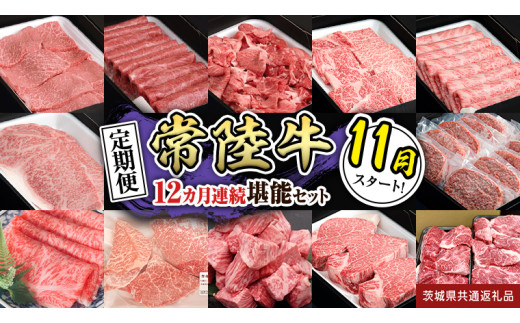 【定期便】【令和7年11月スタート】【全12回】『常陸牛』人気12か月堪能セット（12か月連続でお届け） お肉 肉 牛肉 ステーキ ハンバーグ サーロイン 赤身 切り落とし 霜降り カルビ (茨城県共通返礼品)