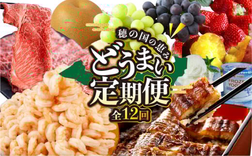 どうまい定期便 12回お届け 1544653 - 愛知県豊橋市