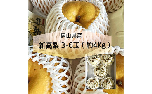 新高 梨 3～6玉 （約4kg） 化粧箱入り 【2025年9月下旬～11月上旬まで発送予定】 ／ なし 和梨 果物 果実 フルーツ 大玉 岡山県 美咲町 常温 2106688 - 岡山県美咲町