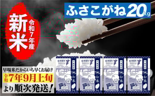 《先行予約・令和7年産新米》千葉県神崎町産ふさこがね5kg×4袋｜早場米産地の新米を食卓へ｜9月以降順次発送予定｜数量限定【精米 米 お米 新米 白米 ご飯 白ごはん 弁当】[025-a004]