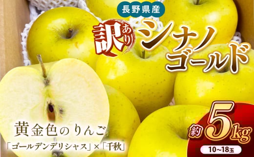 南信州産 シナノゴールド 訳あり 約5kg 10～18玉 ＪＡみなみ信州ＤＭセンター飯田市 | 林檎 りんご リンゴ シナノゴールド ジューシー 果汁 果物 フルーツ 南信州 送料無料 ふるさと納税 長野県 飯田市