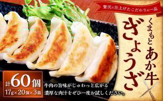 熊本和牛あか牛ぎょうざ60個(あか牛ぎょうざ20個入り×3箱)計60個 あか牛 餃子 ぎょうざ 焼餃子 牛肉 お肉 肉 褐牛 褐毛和種 和牛 国産牛 熊本県 上天草市 冷凍