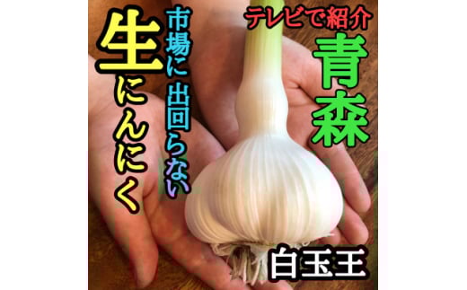 青森生にんにく25玉★年に1度、収穫時期しか食べられない逸品です★【1619320】