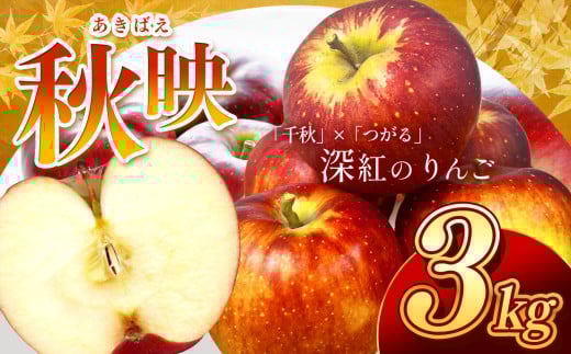 芳醇な香り長野県産・深紅色りんご(秋映) 約3kg 秀品〈2025年9月下旬～10月中旬発送〉| 果物 くだもの フルーツ りんご リンゴ 林檎 長野県 信州 南信州 飯田市 959102 - 長野県飯田市