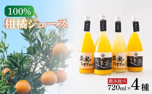 100％柑橘ジュース 飲み比べ4本セット 段ボール箱入り   |  果物 くだもの フルーツ おすすめ  人気 お取り寄せ ジュース ギフト 愛媛県 松山市