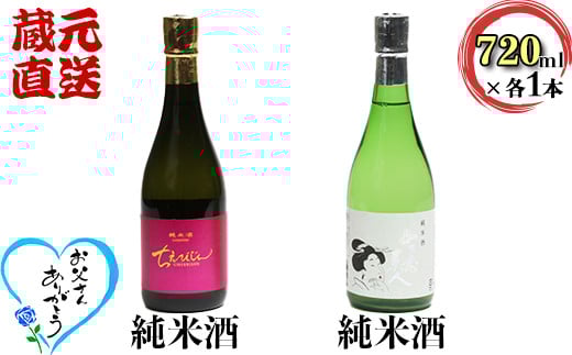 ちえびじん純米酒+智恵美人純米酒 飲み比べセット【中野酒造】 人気 ギフト 贈答 父の日 ＜110-017_7＞ 359007 - 大分県杵築市