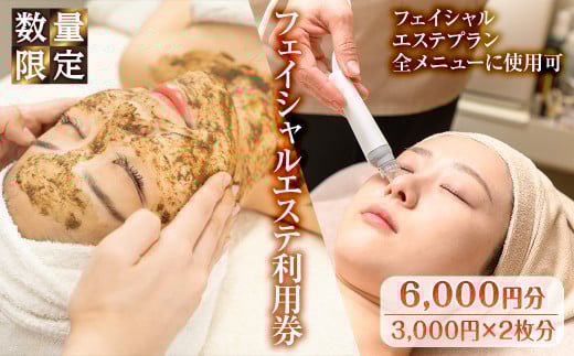 ＜数量限定＞フェイシャルエステ利用券(6,000円分(3,000円×2枚分)/フェイシャルエステプラン全メニューに使用可)【m66-10】【melty minoh】 2029890 - 大阪府箕面市