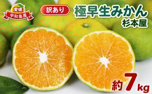 訳あり 極早生みかん 7kg 先行予約 杉本屋 温州みかん 訳アリ 訳あり品 わけあり 温州 極早生 青切みかん 早みかん 緑みかん 愛媛みかん 愛媛ミカン 愛媛蜜柑 愛媛県産みかん さっぱり 酸味 果物 くだもの フルーツ 柑橘 蜜柑 温州 産地直送 数量限定 国産 愛媛 宇和島 B010-143022 2134619 - 愛媛県宇和島市