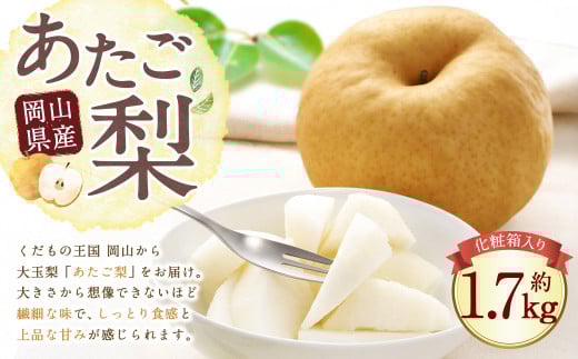 岡山県産 あたご梨 2玉 （約1.7kg） 化粧箱入り 【2025年11月下旬～12月下旬迄発送予定】 ／ なし 和梨 果物 果実 フルーツ 大玉 岡山県 美咲町 常温