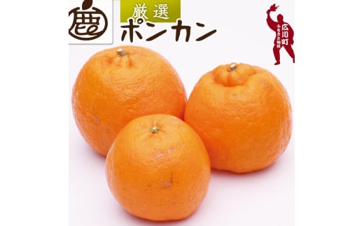  厳選 ポンカン 2.5kg+250g（痛み補償分） 光センサー 食頃出荷 / 有田 みかん 柑橘 蜜柑 くだもの 果物 果実 フルーツ 和歌山 ※1月中旬～2月下旬頃に順次発送予定 ※北海道・沖縄・離島への配送不可 【ikd008-p-2d5】 2106253 - 和歌山県広川町