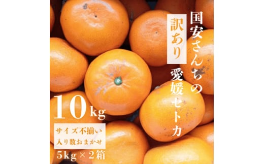 ＜みかんの大トロ＞糖度12.0以上酸1.4以下 糖酸選別品 訳あり愛媛セトカ10kg＜G20-75＞【1620329】