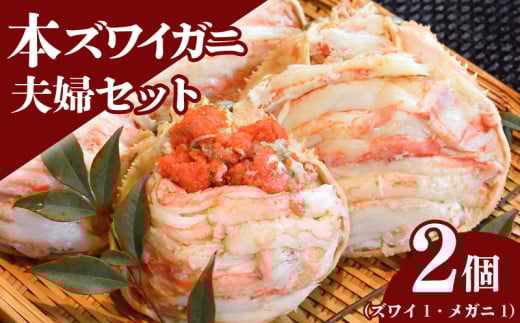 本ズワイガニ 夫婦セット 2個 本ズワイ100g メガニ80g 新潟県 佐渡産 ズワイ ガニ 蟹 かに カニ 蟹 蟹味噌 簡単調理 新発田市 魚介 今川屋 いまがわや おせち 年末年始 箱入り 贈答 プレゼント お歳暮 imagawaya012