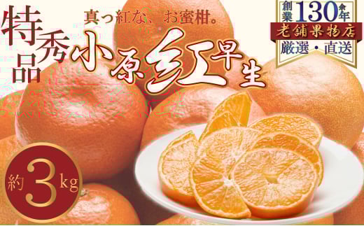 [№5911-0412]特秀品！真っ赤なお蜜柑「小原紅早生」　約3kg