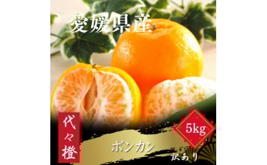 ＜濃厚な甘さ＞＜訳あり＞ポンカン 5kg＜C83-15＞【1549105】 1504625 - 愛媛県八幡浜市