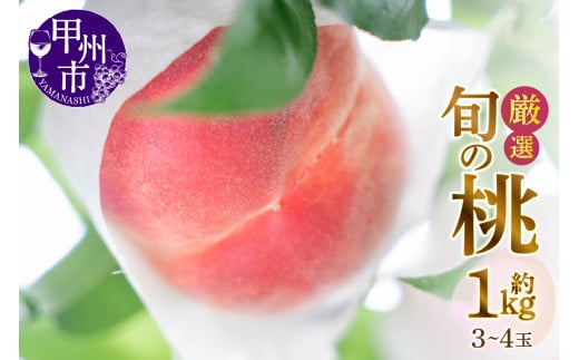 甲州市産厳選旬の桃 約1kg 3玉～4玉入り【2025年発送】（MG）A07-481 【桃 もも モモ 令和7年発送 期間限定 山梨県産 甲州市 フルーツ 果物】