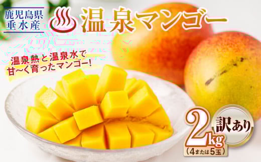 B2-22134／【 訳あり品 】 鹿児島産 温泉マンゴー 2kg 期間限定 【2025年夏発送】