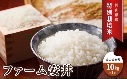 お米 【2025年11月～発送予定】 特別栽培米 ひのひかり 10kg×1袋 米 白米 岡山県産 ファーム安井 精米 ライス ご飯 おにぎり お弁当 和食 主食 国産 炭水化物 直送 産地直送 粘り 香り バランス