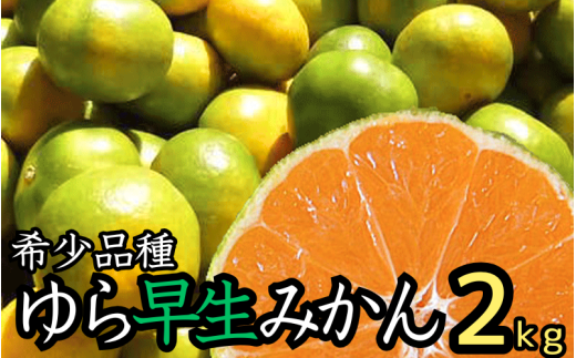 由良早生 みかん 家庭用 2kg / ゆら早生 温州みかん 極早生 甘い 家庭用 和歌山 柑橘 ※10月上旬～10月下旬順次発送 ※北海道・沖縄・離島への配送不可 【nuk003-yura-2】 2106528 - 和歌山県広川町