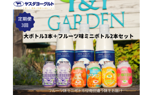 【3ヶ月定期便】ヤスダヨーグルト ちょい足しフルーツセレクションセットお試し便 大ボトル800g×3本＋小ボトル150g2本  無添加 搾りたて こだわり生乳 濃厚 飲むヨーグルト のむよーぐると 1B86019