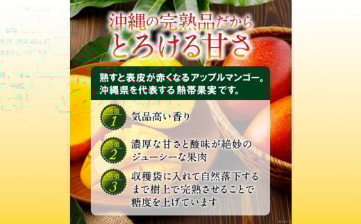 アイテムID:428800の画像2枚目