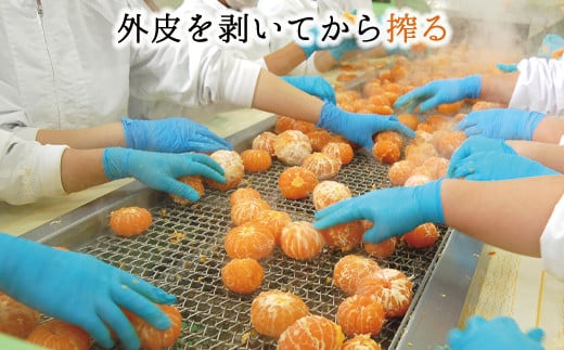 和歌山県有田市のふるさと納税 【早和果樹園】飲むみかん20本入（180ml）(A13-3)