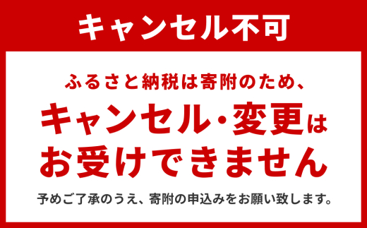 宮城県石巻市のふるさと納税 ベーグル 低糖質 ヘルシーおからベーグル 9種 12個セット もちもちベーグル ＜石巻ベーグル＞ 詰め合わせ 冷凍 もっちり 無添加 天然酵母 国産原料 低カロリー 個包装 朝食  おやつ 宮城県 石巻市 ギフト お取り寄せ スイーツ お菓子 おやつ