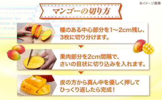 沖縄県沖縄市のふるさと納税 訳あり 完熟マンゴー 約2kg (4〜6玉入) マンゴー 沖縄 果物 フルーツ ギフト 沖縄市 / ちゃんぷる～市場 [BCAA002]