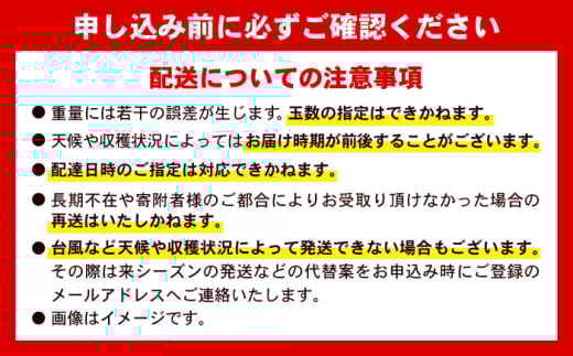 沖縄県沖縄市のふるさと納税 訳あり 完熟マンゴー 約2kg (4〜6玉入) マンゴー 沖縄 果物 フルーツ ギフト 沖縄市 / ちゃんぷる～市場 [BCAA002]