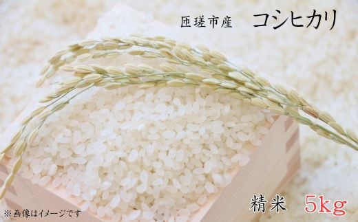 匝瑳市産　コシヒカリ　精米　5kg ／ 米 こめ コメ お米 ごはん コシヒカリ 精米 白米 5kg ちばエコ農産物 産地直送 2116609 - 千葉県匝瑳市