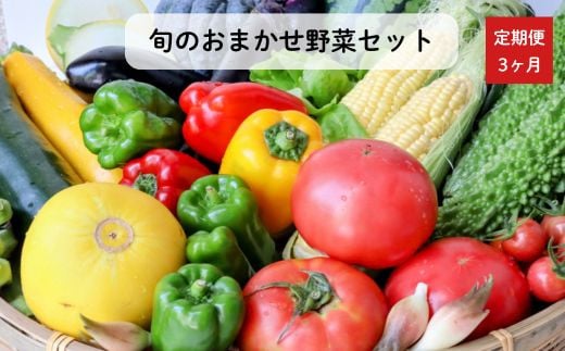 《定期便3ヶ月》旬のおまかせ野菜セット　4種類以上 ／ 野菜 やさい 旬の野菜 セット 詰め合わせ