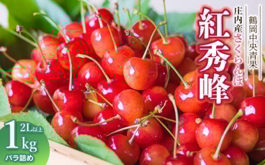 【令和7年産】さくらんぼ 紅秀峰　バラ詰め1kg　2Lサイズ以上　鶴岡中央青果